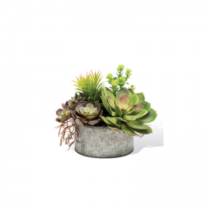 Artificial Succulent plants