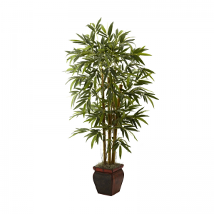 Decorative plants