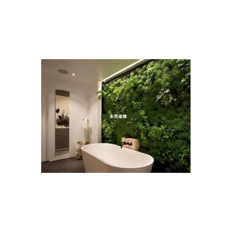 Application of plant wall in indoor green decoration